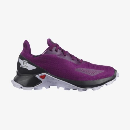 Salomon sale online schoenen